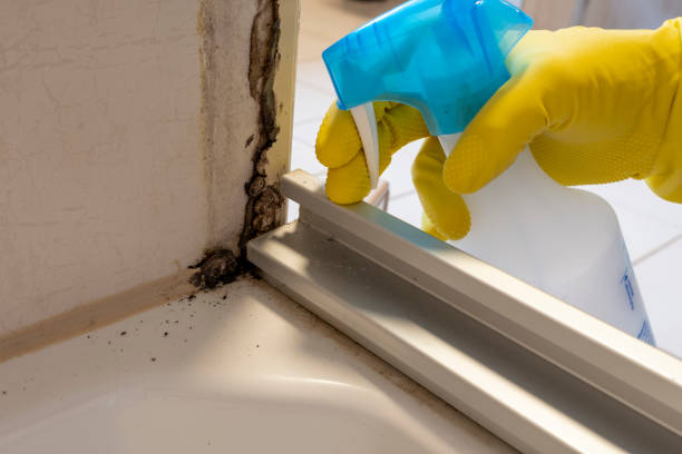 Crawl Space Mold Removal in Hot Springs Village, AR
