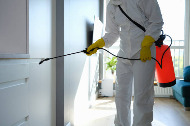 Best Certified Mold Removal  in Hot Springs Village, AR